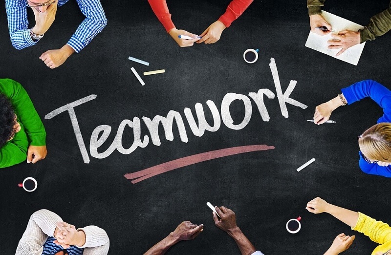 What are Teamwork Skills